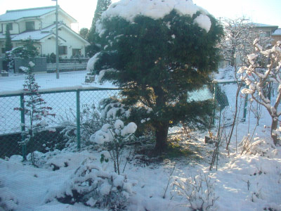雪 雪