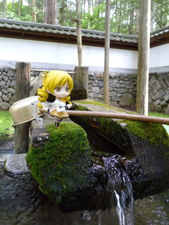 マミさんぽ マミさんぽ