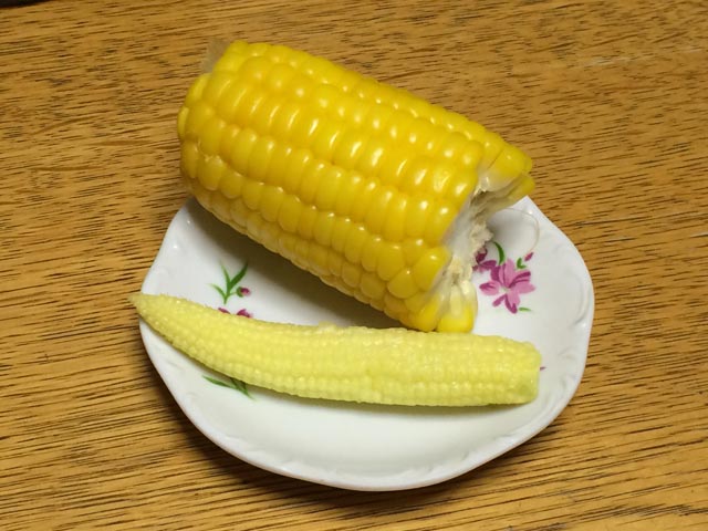 モロコシ モロコシ