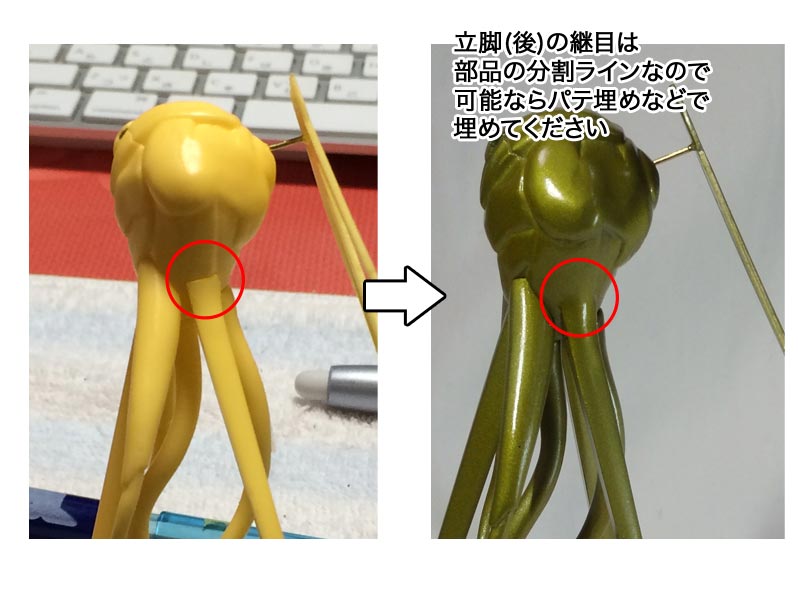 アルヘノテルス型 アルヘノテルス型