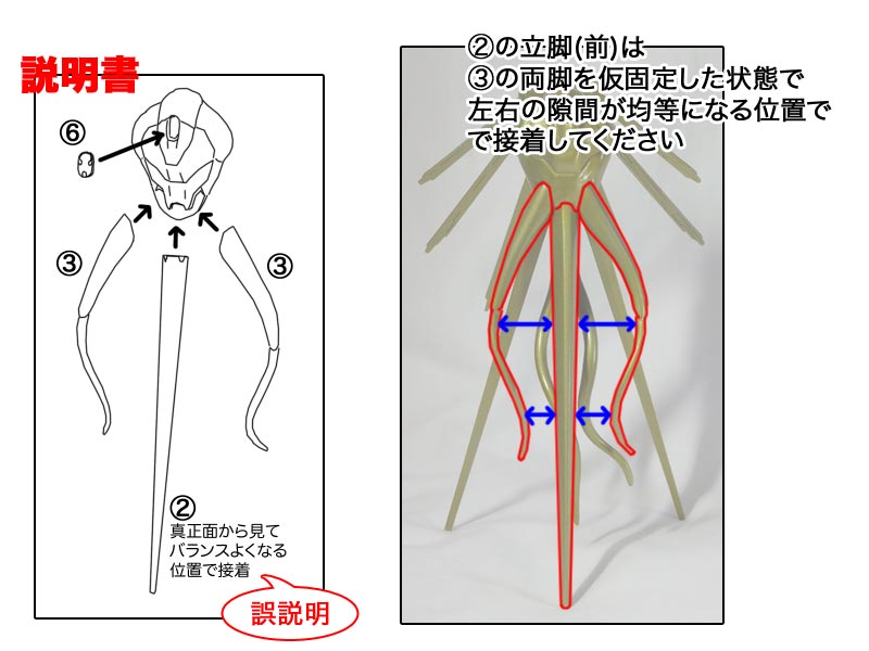 アルヘノテルス型 アルヘノテルス型