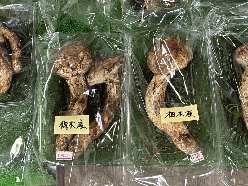����