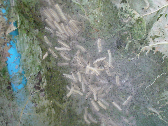 img050828.jpg