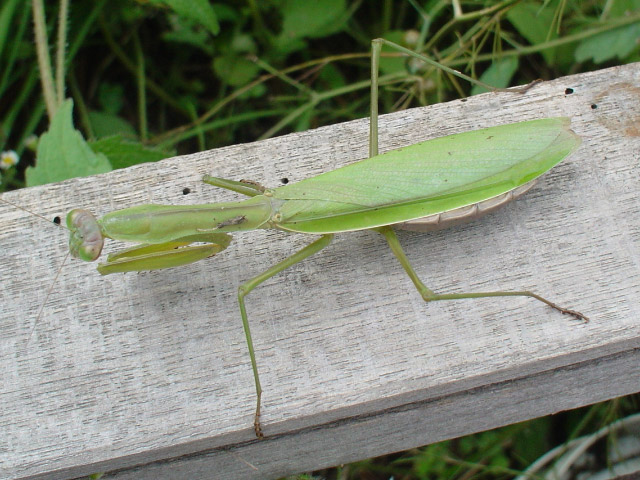 img051016b.jpg
