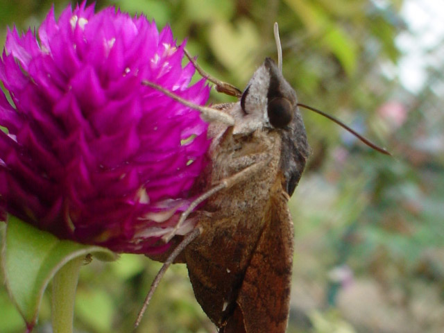 img051016d.jpg