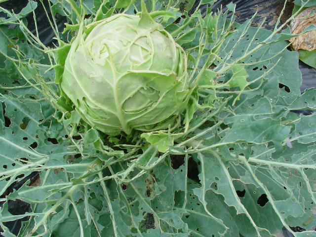 img051030a.jpg