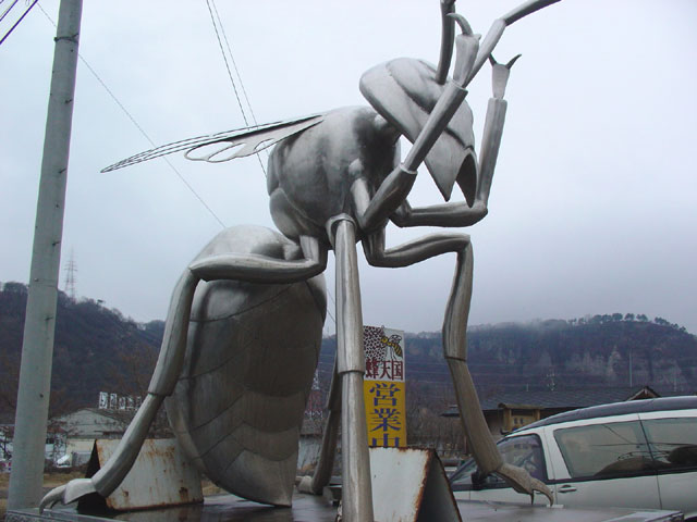 img060312a.jpg