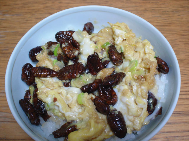 img060515.jpg