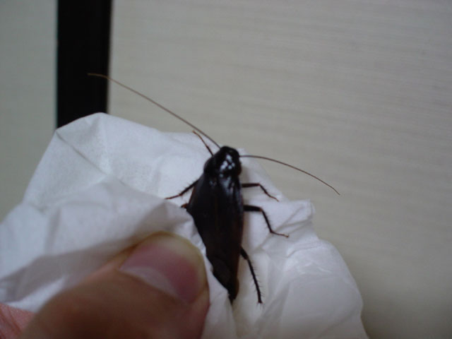 img060614.jpg