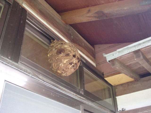img061001a.jpg