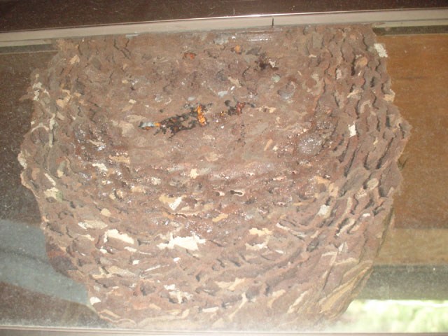img061001b.jpg