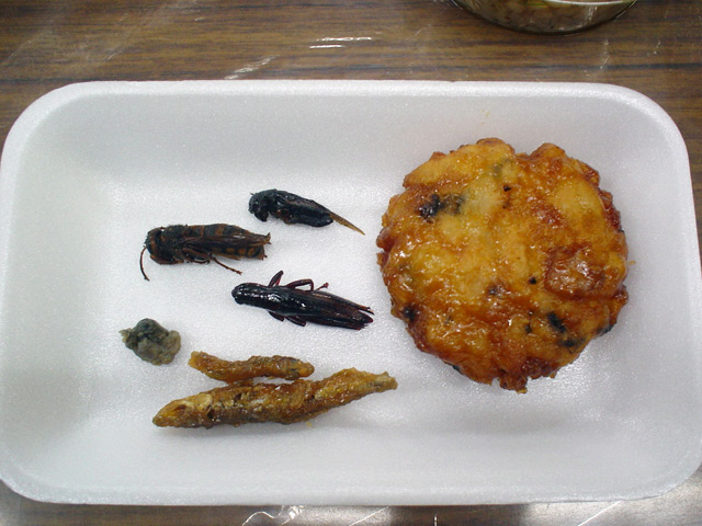 img081123c.jpg