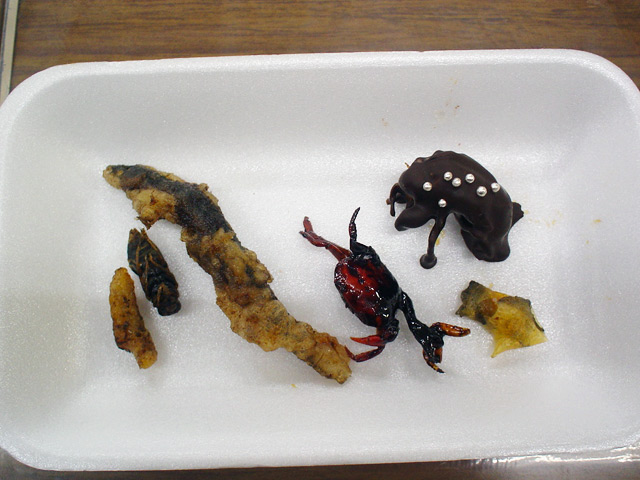 img081123d.jpg
