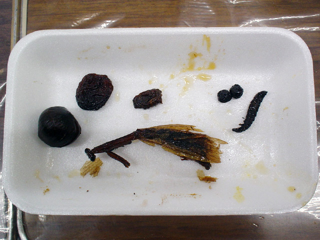 img081123e.jpg