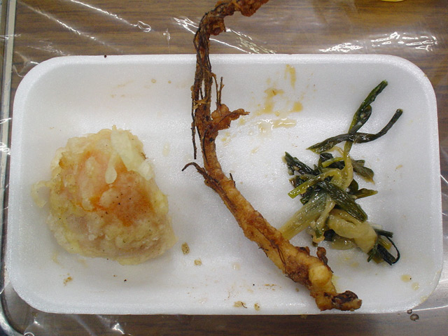 img081123j.jpg