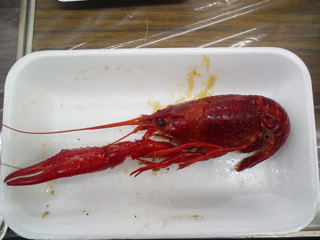 img081123l.jpg