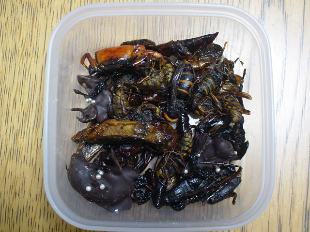 img081123n.jpg