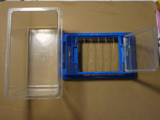 img20100613b.jpg