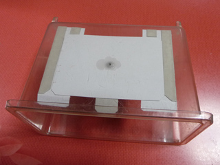 img20100613d.jpg