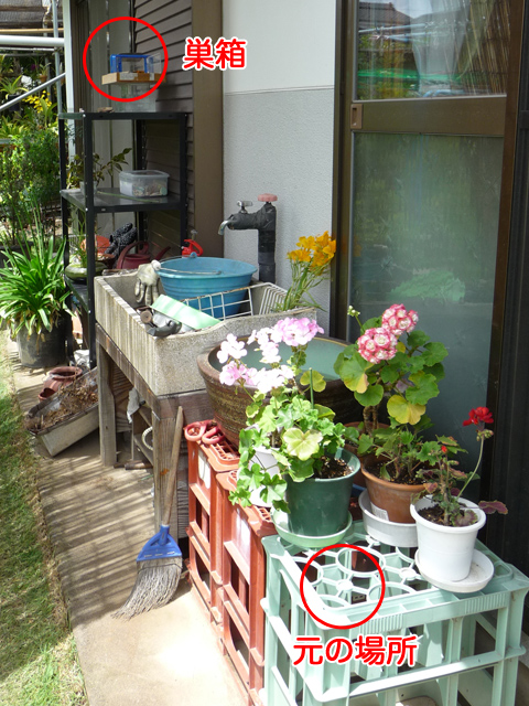img20100630a.jpg