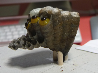 img20100630d.jpg