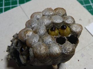 img20100701g.jpg