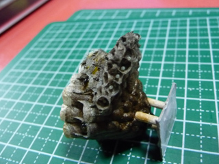 img20100703e.jpg
