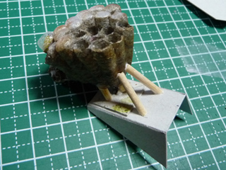 img20100703f.jpg