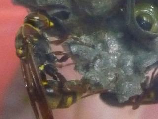 img20100714.jpg