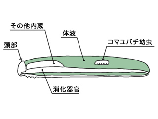 img20100717d.jpg