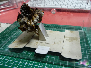 img20100720c.jpg
