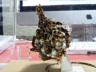 img20100725i.jpg