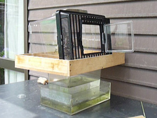 img20100802.jpg