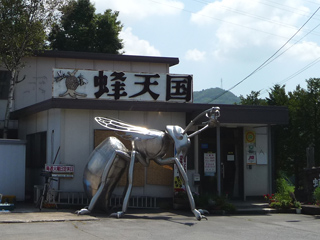 img20100821b.jpg