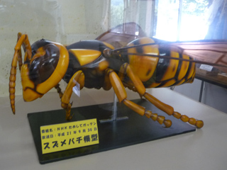 img20100821d.jpg