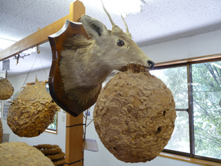 img20100821e.jpg