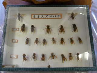 img20100821f.jpg