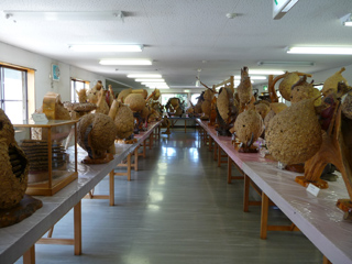 img20100821g.jpg