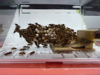 img20100822.jpg