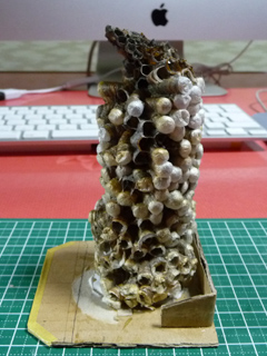 img20100828j.jpg