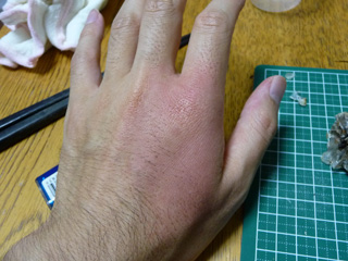 img20100828l.jpg
