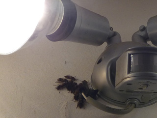 img20100906.jpg