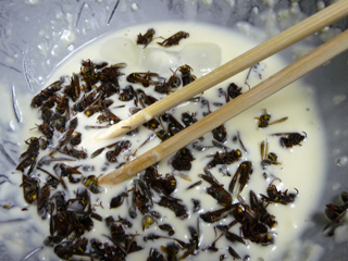 img20101113.jpg