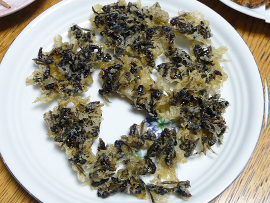 img20101113a.jpg