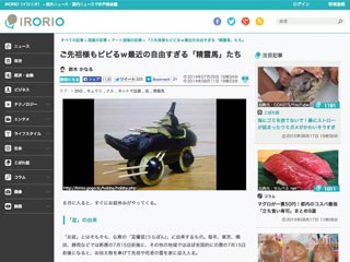 img27.jpg 精霊馬が無断転載されまくる話/img27.jpg
